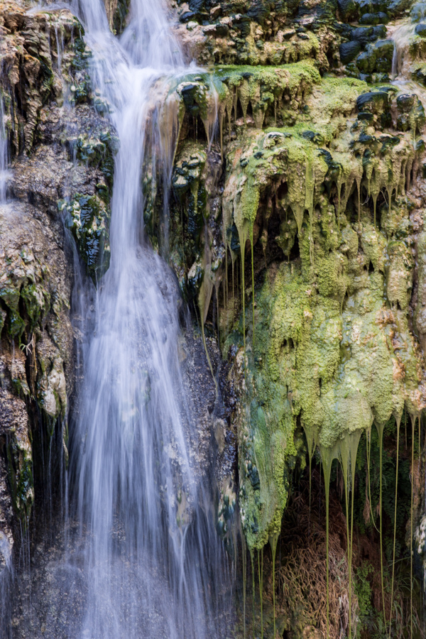 Dripping Algae and Water in Grand Canyon, Arizona