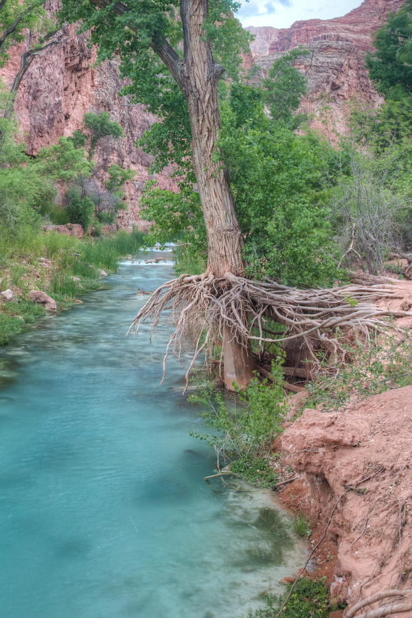 Exposed in Grand Canyon, Arizona