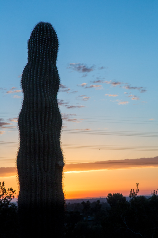 Sunrise in Phoenix, Arizona