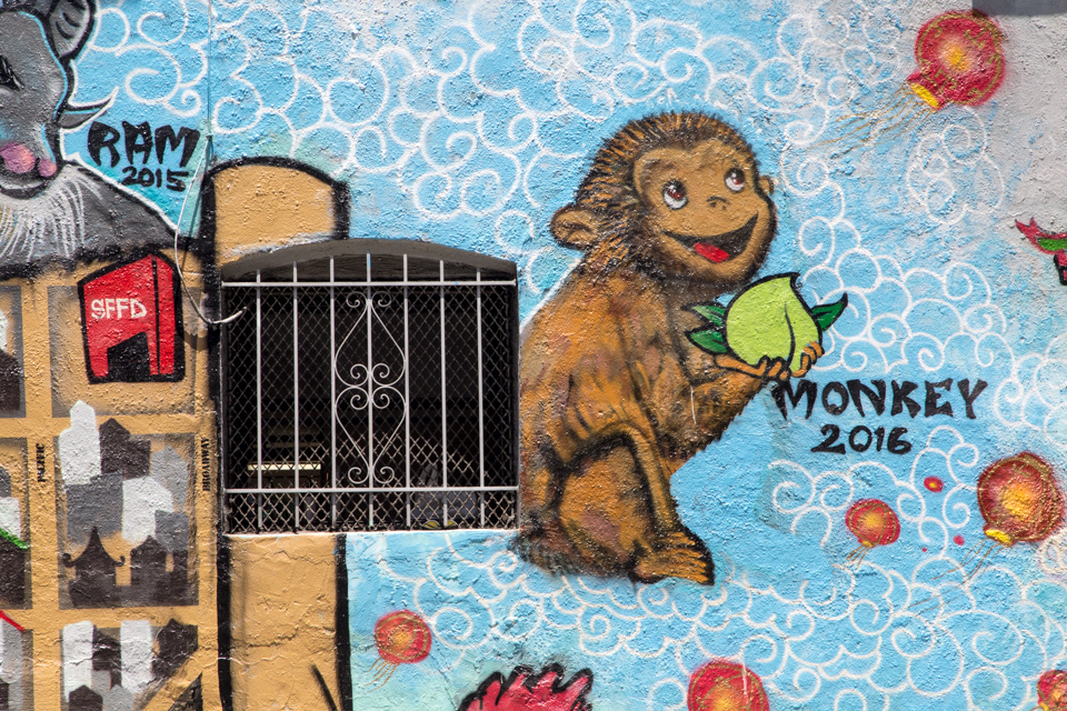 Year of the Monkey in San Francisco, California