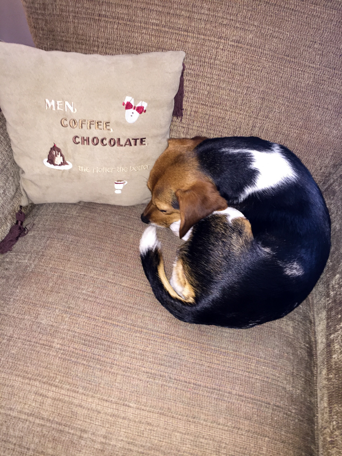 Curled Up in Austin, Texas