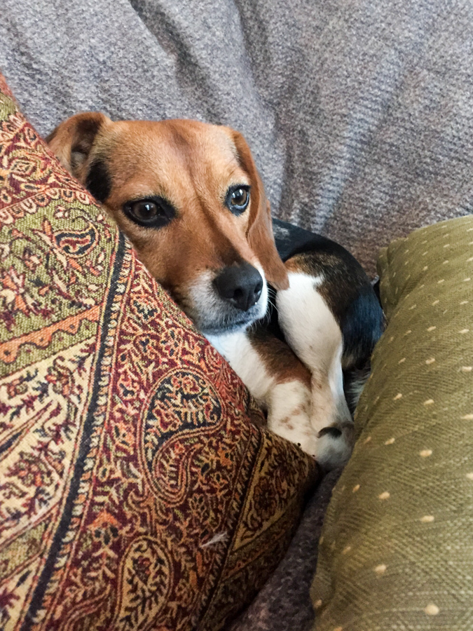 Snuggled In in Austin, Texas