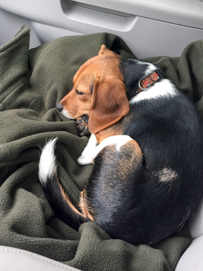 Long Trip in Austin, Texas