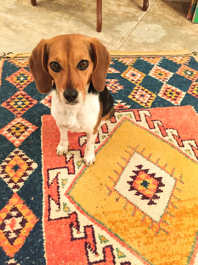 Nice Rug in Nogales, Arizona