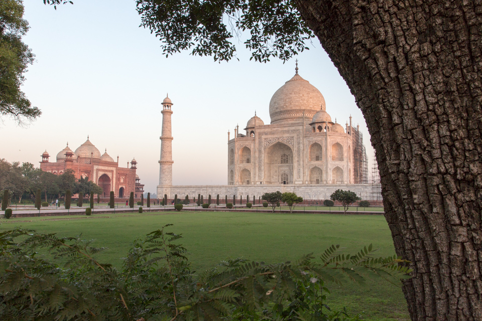 From the Garden in Agra, India