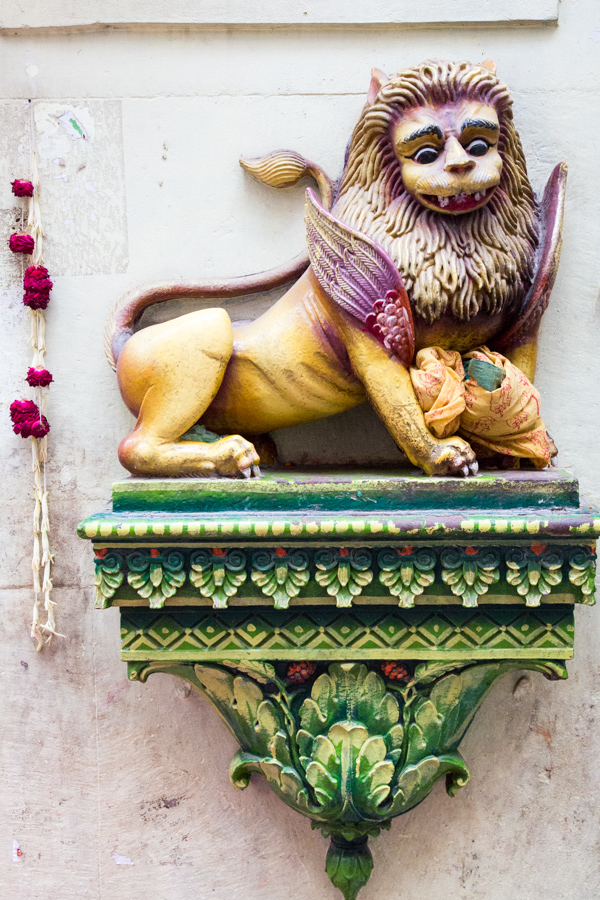 Lion in Varanasi, India