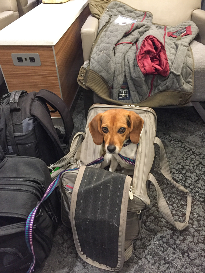 Travler in Atlanta, Georgia