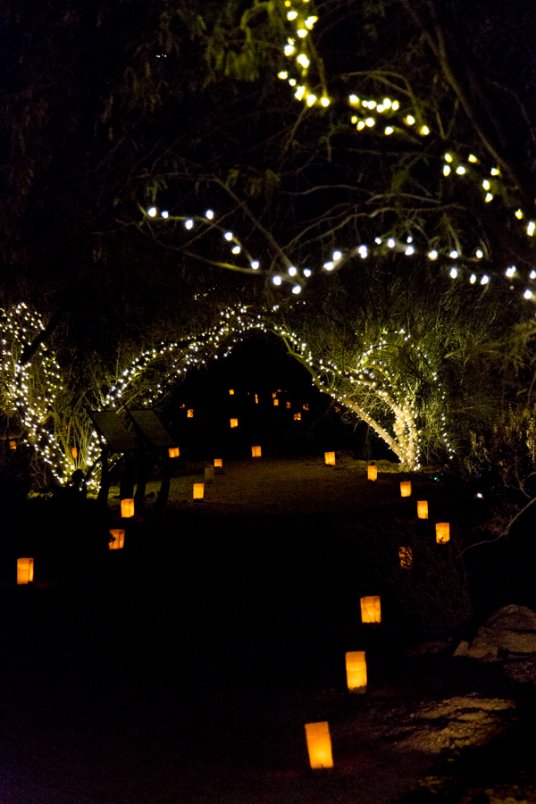 Path of Lights in Phoenix, Arizona