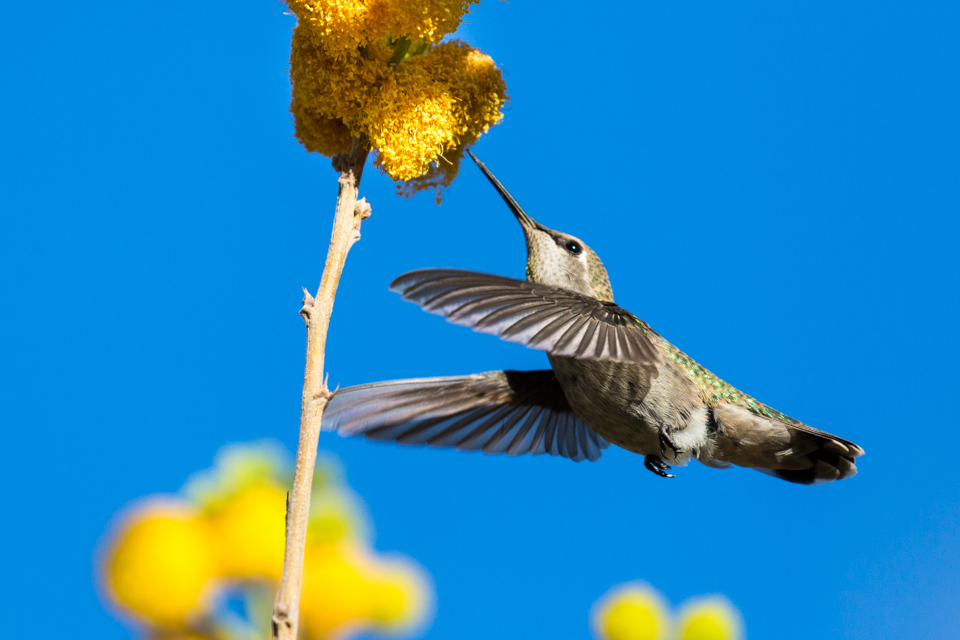 From Below in Phoenix, Arizona