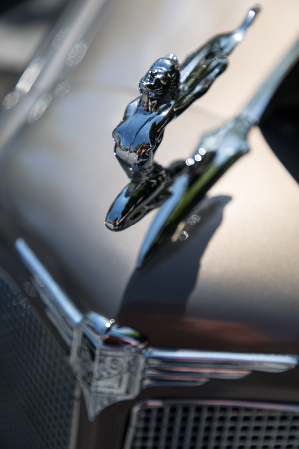 Hood Ornament in Highlands, North Carolina