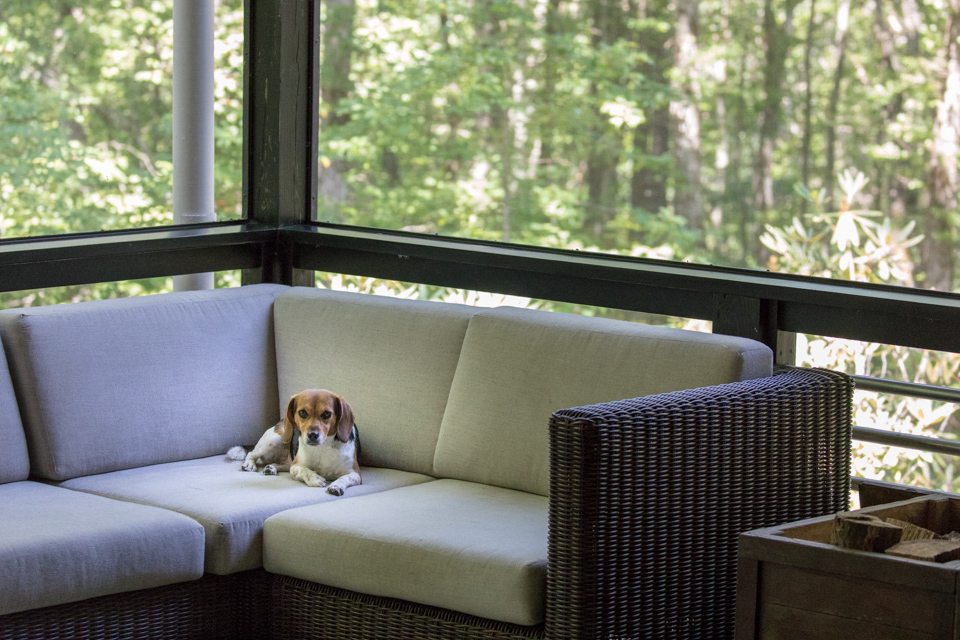 Lady of Leasure in Highlands, North Carolina