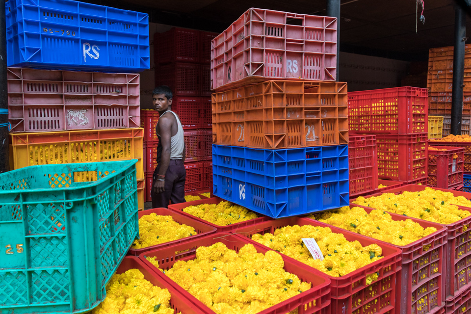 Crates and Flowers in Mumbai, India