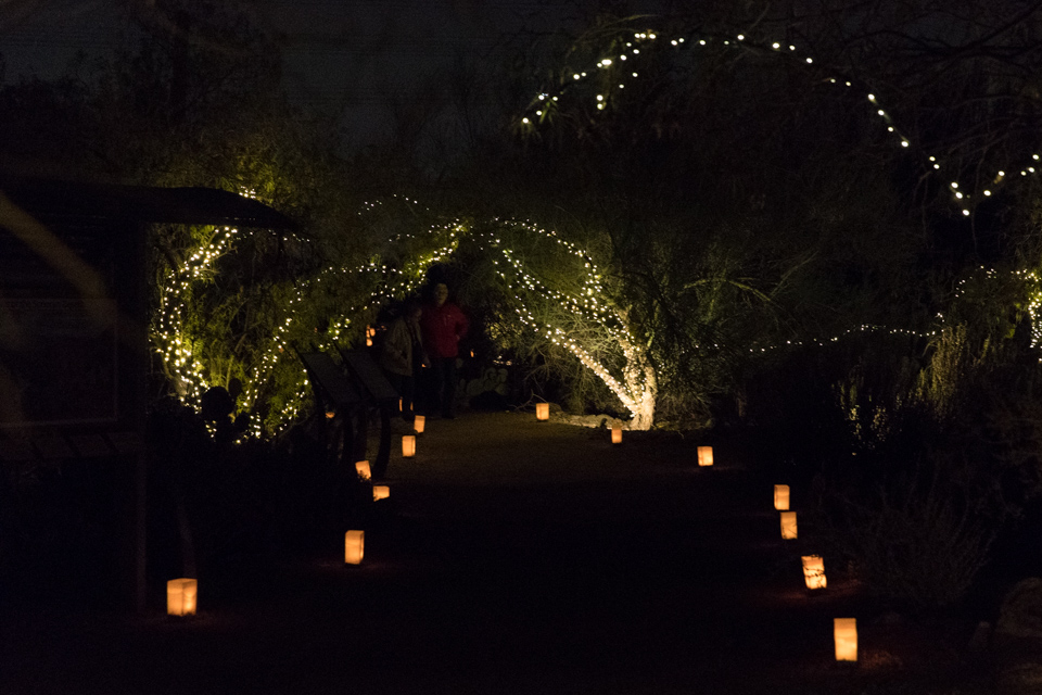 Light Path in Phoenix, Arizona