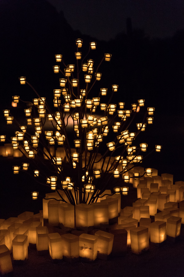 Candles in Phoenix, Arizona