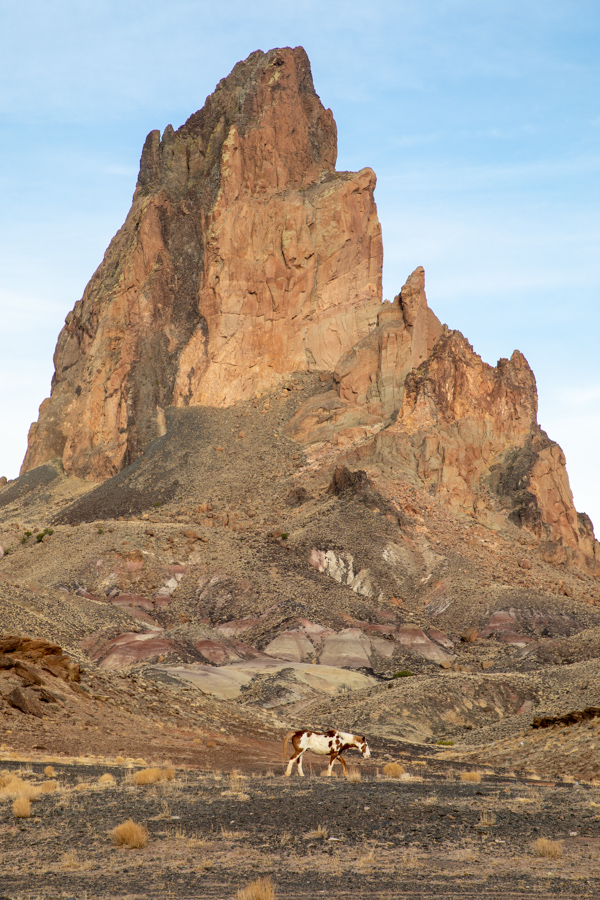 Horse in Kayenta, Arizona
