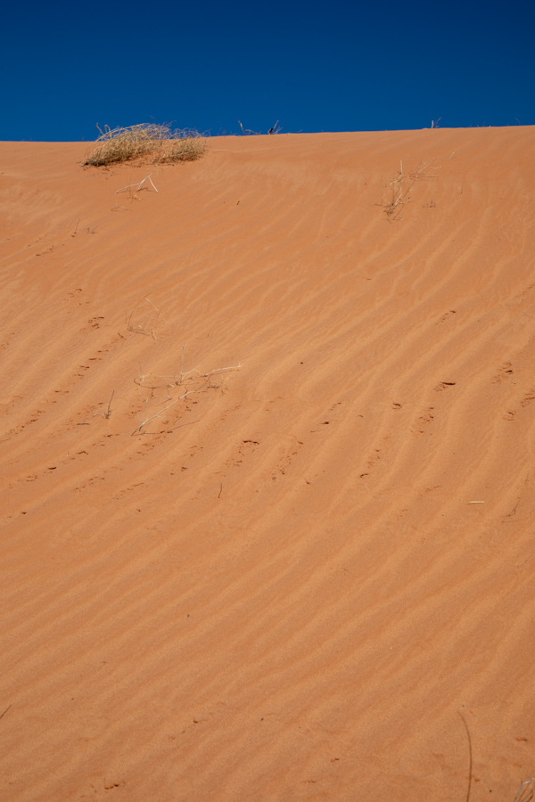Sand in Kayenta, Arizona