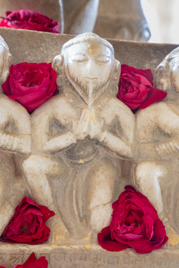 Rose Monk in Jodphur, India