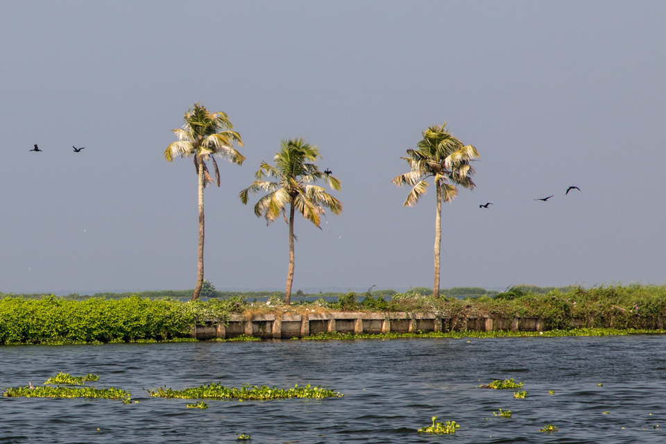 Canal Bank in Alleppey, India