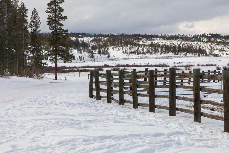 Fence Line in Devils Thumb, Colorado