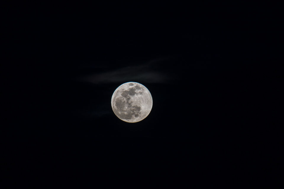 Full Moon in Phoenix, Arizona