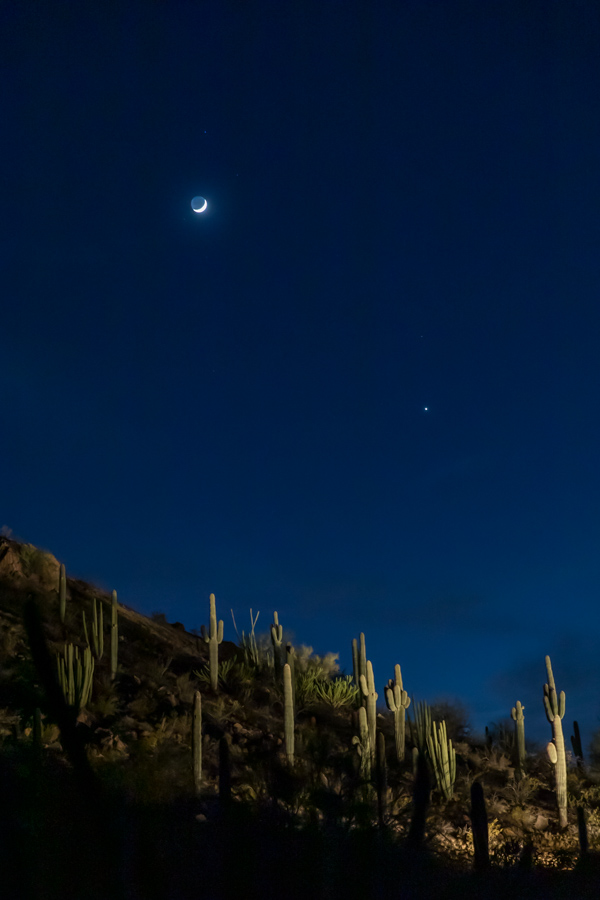 Desert Moon and Venus in Phoenix, Arizona