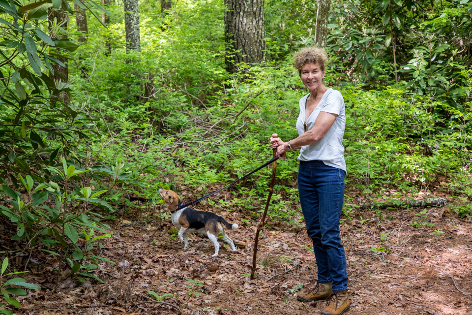 Sniffing in Highlands, North Carolina
