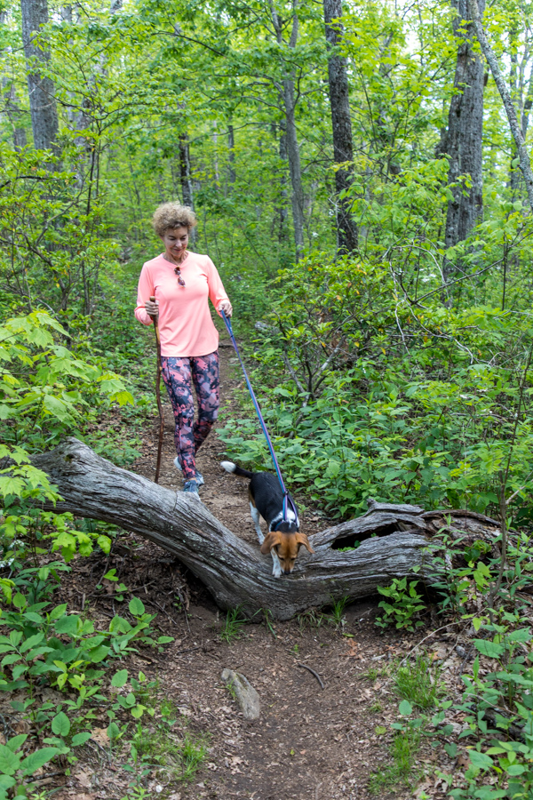 On the Trail in Highlands, North Carolina