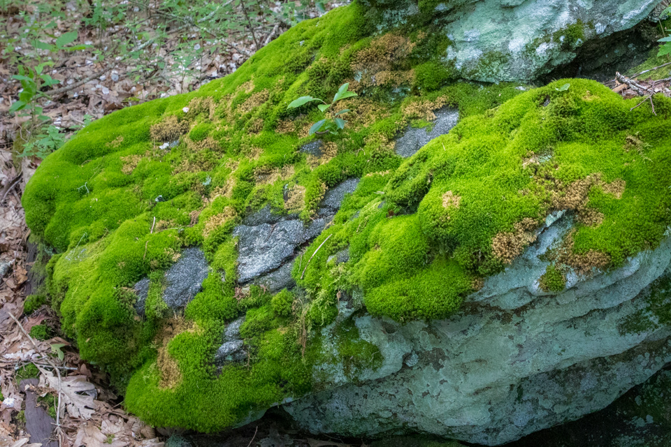 Mossy Rock in Highlands, North Carolina