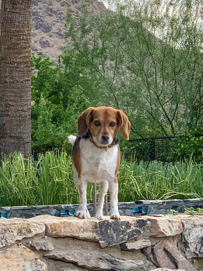 Watching Daddy in Phoenix, Arizona