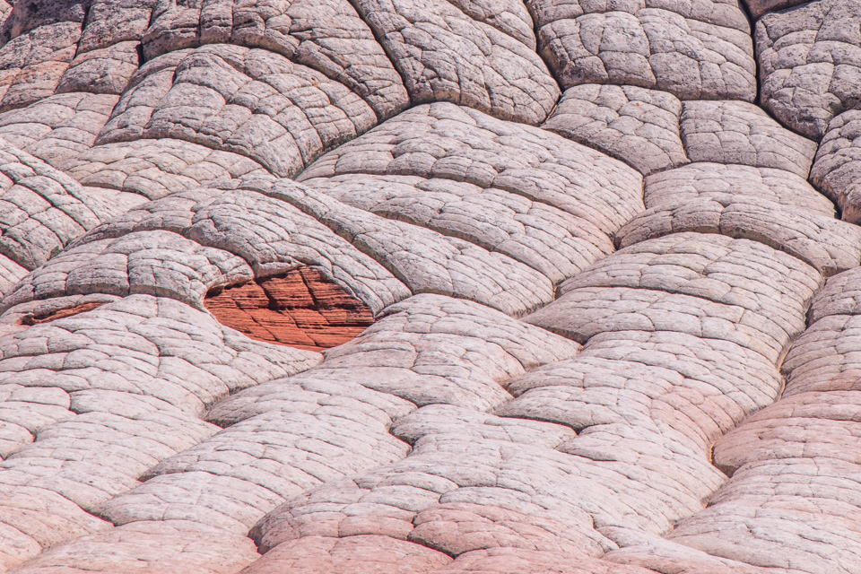 Spot in White Pocket, Arizona