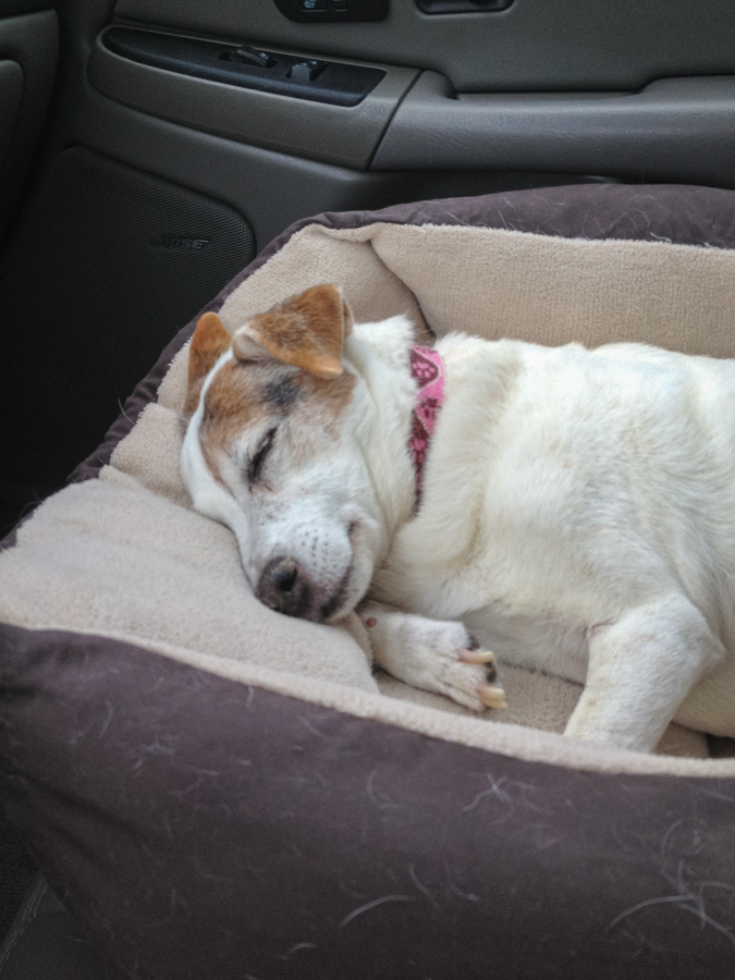 Car Bed in Highlands, North Carolina