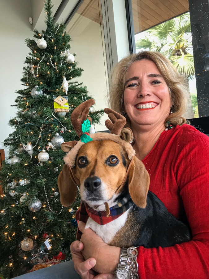 Reinbeagle in Paradise Valley, Arizona