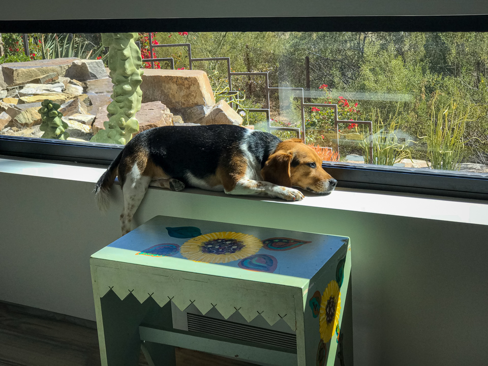 Beagle Ledge in Paradise Valley, Arizona