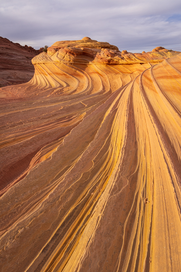 Long Lines in North Coyote Buttes, Arizona
