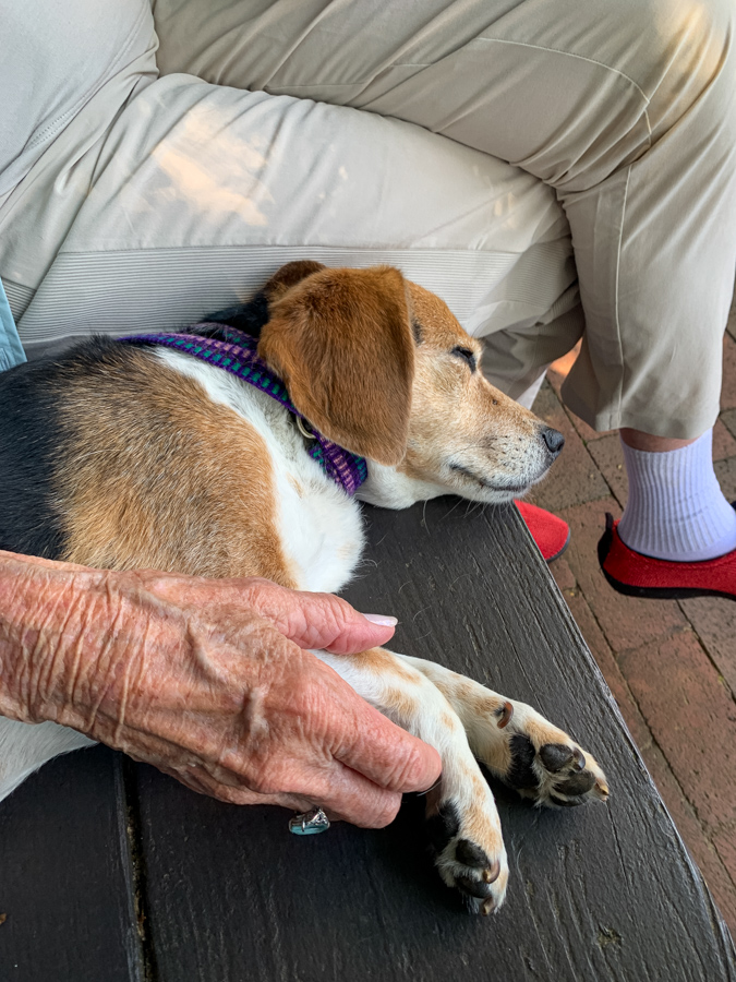 Resting in Highlands, North Carolina