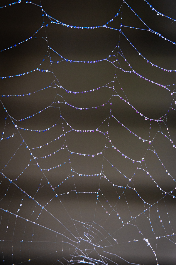 House Web in Highlands, North Carolina