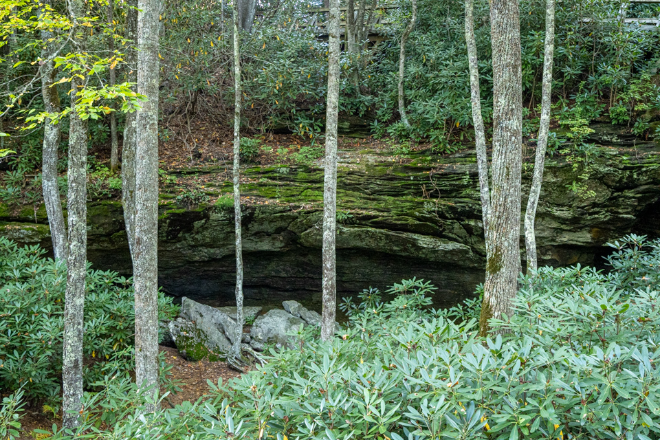 Forest Cave in Highlands, North Carolina