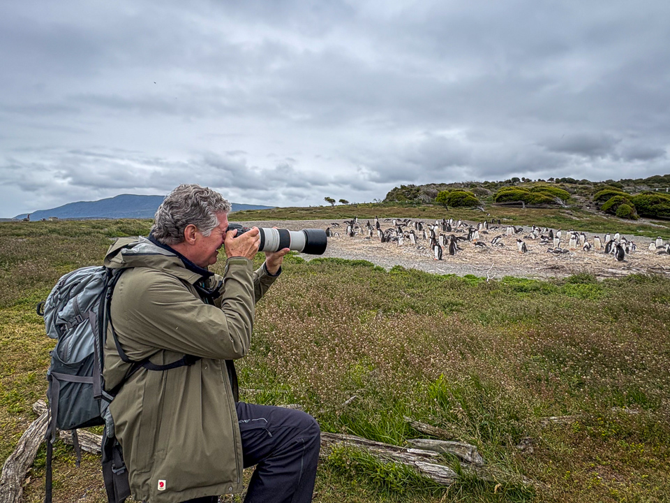 With the Penguins in Ushuaia, Argentina
