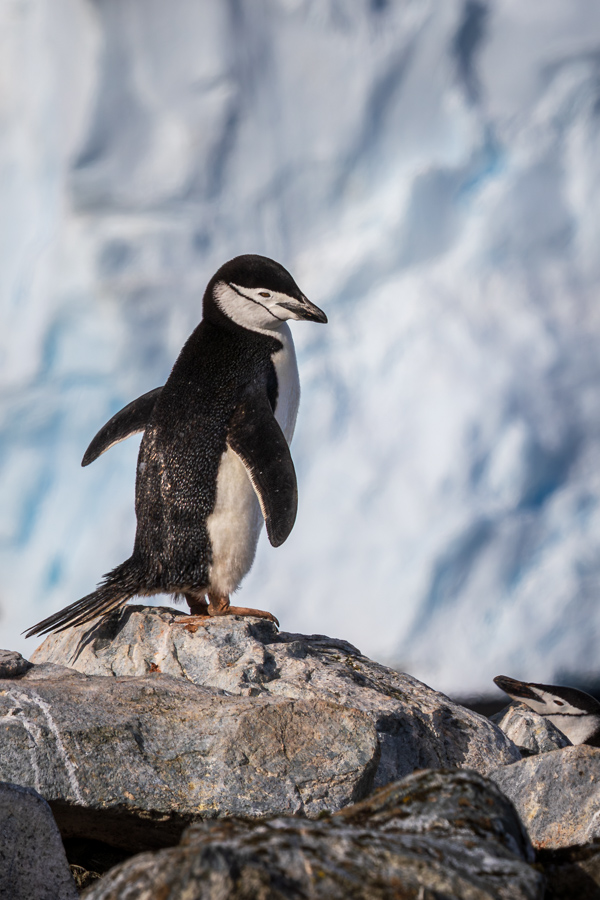 Top of the World in Palaver Point, Antarctica