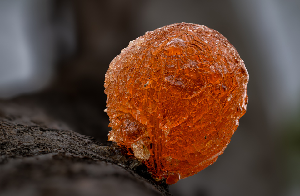 Amber Ball in Paradise Valley, Arizona