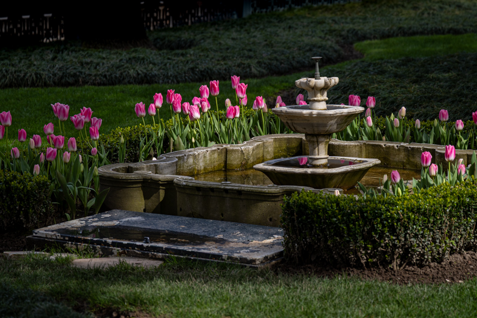 Tulip Fountain in Istanbul, T�rkiye