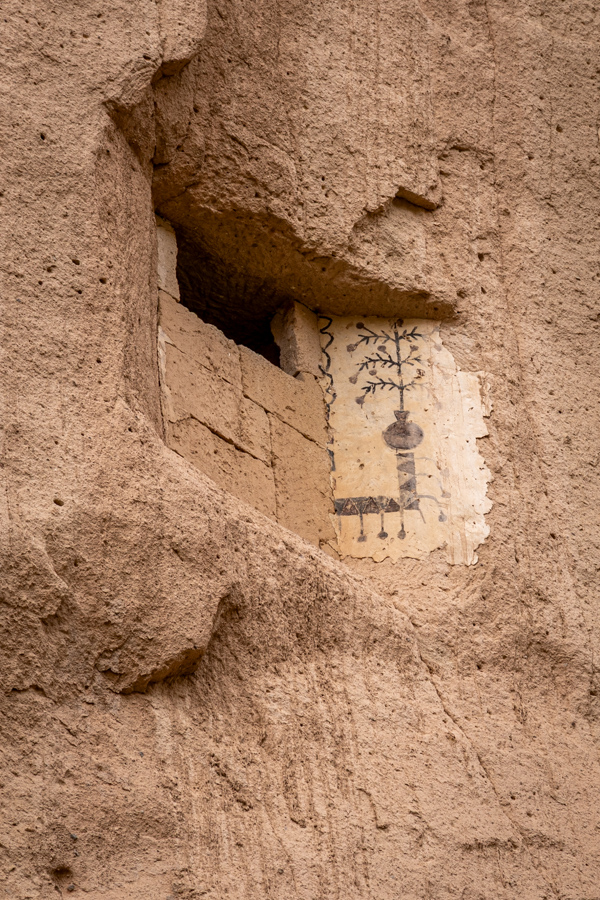 Bird Art in Cappadocia, Türkiye