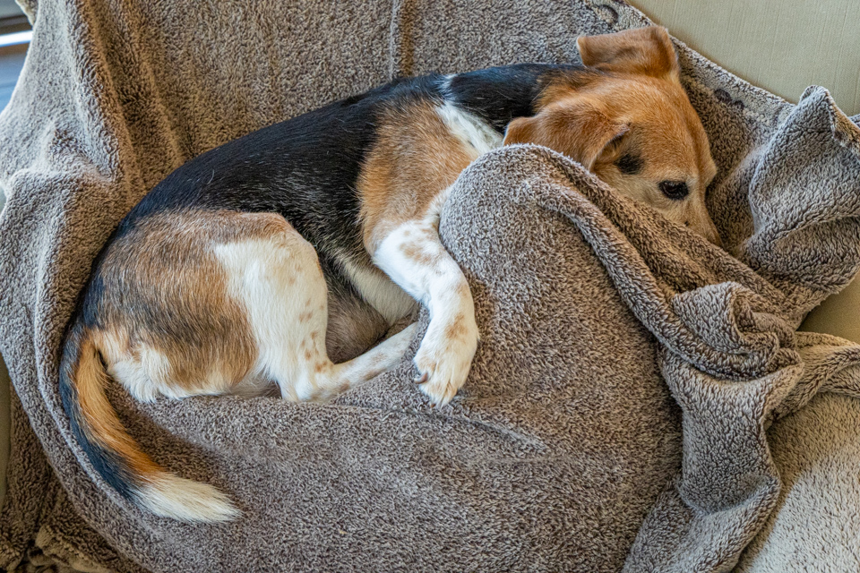 Snuggled In in Paradise Valley, Arizona