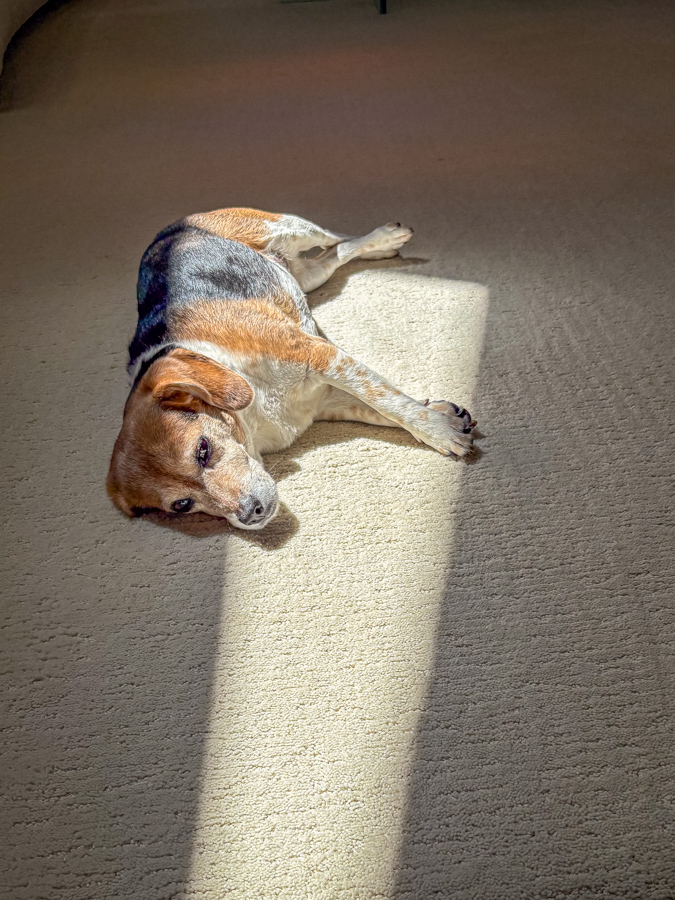 In the Light in Scottsdale, Arizona