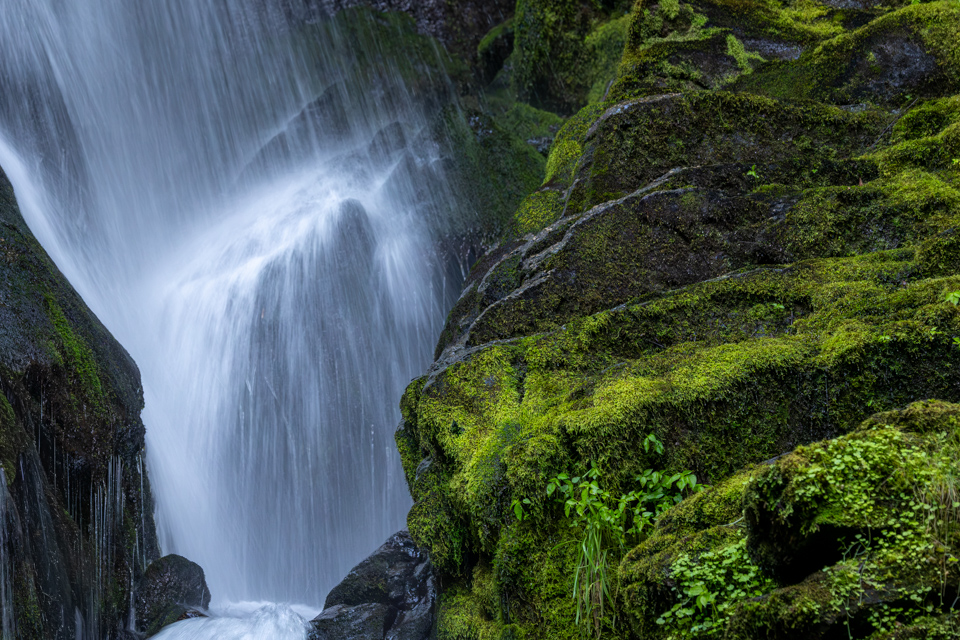 Mountain Water in Brevard, North Carolina