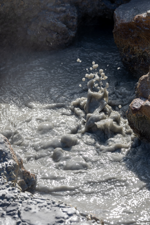 Hot Mud in Reykjavík, Iceland