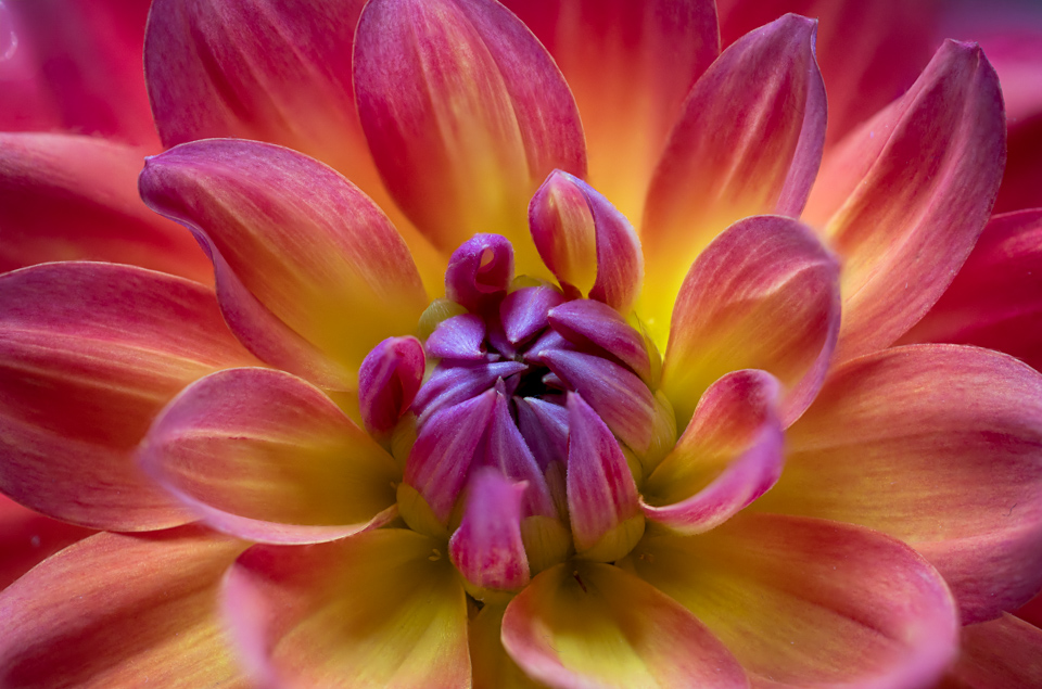 Burst of Color in Highlands, North Carolina