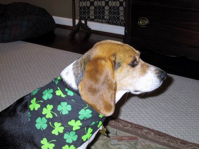 Baileys on St Patricks Day in Columbus, Georgia
