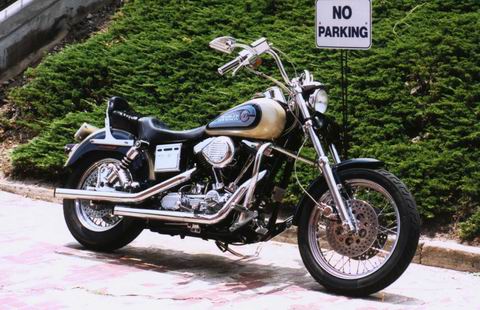 Dyna in a No Parking Zone in Columbus, Georgia