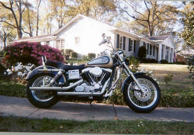 Harley in Spring in Columbus, Georgia